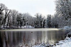 Park im Winter